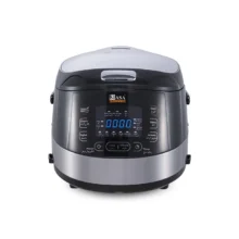 پلوپز ناسا الکتریک مدل NS-3081